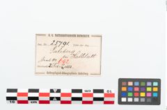 Etikett zu Bronzebrillenfibel (NHMW-PRAE-025791)